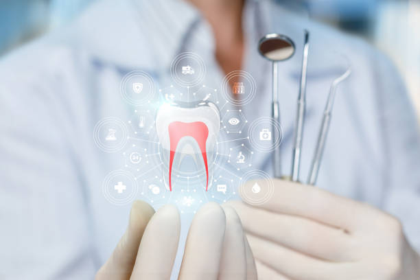 Best TMJ/TMD Treatment  in Englewood, FL